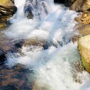 Meet your Posher, Maribel